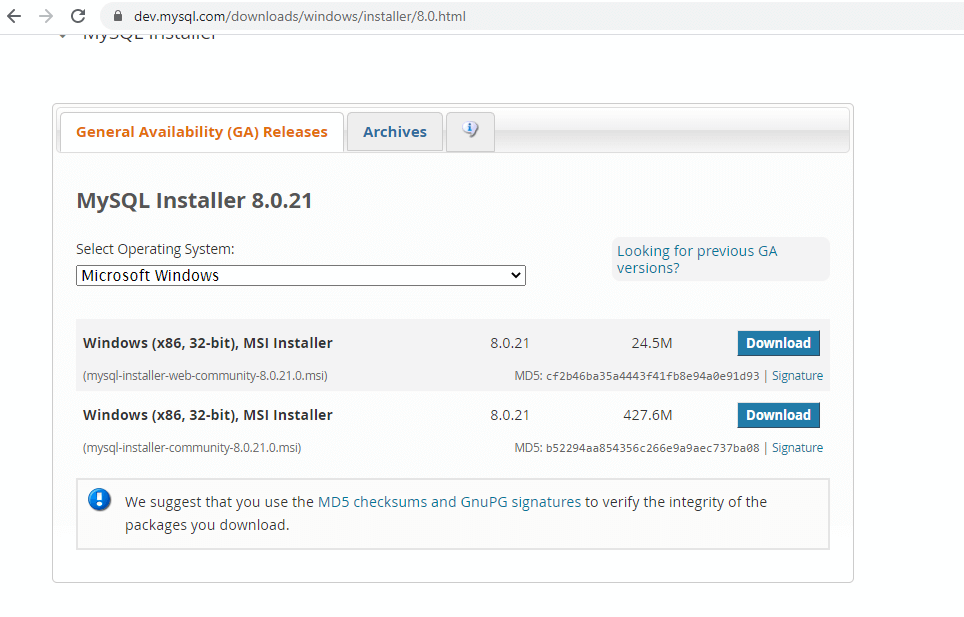 MySQL Community Server output 3