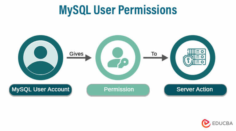 MySQL User Permissions | How to Apply User Permissions in MySQL?