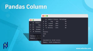 Pandas Column | How does column work in Pandas with examples?