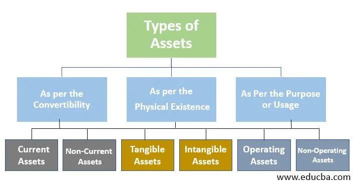 Types of Assets | Different Types of Assets with Explanation