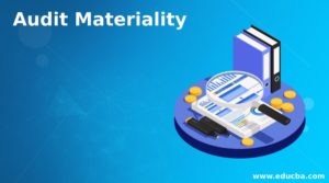 Audit Materiality | Relevance and Importance of Audit Materiality