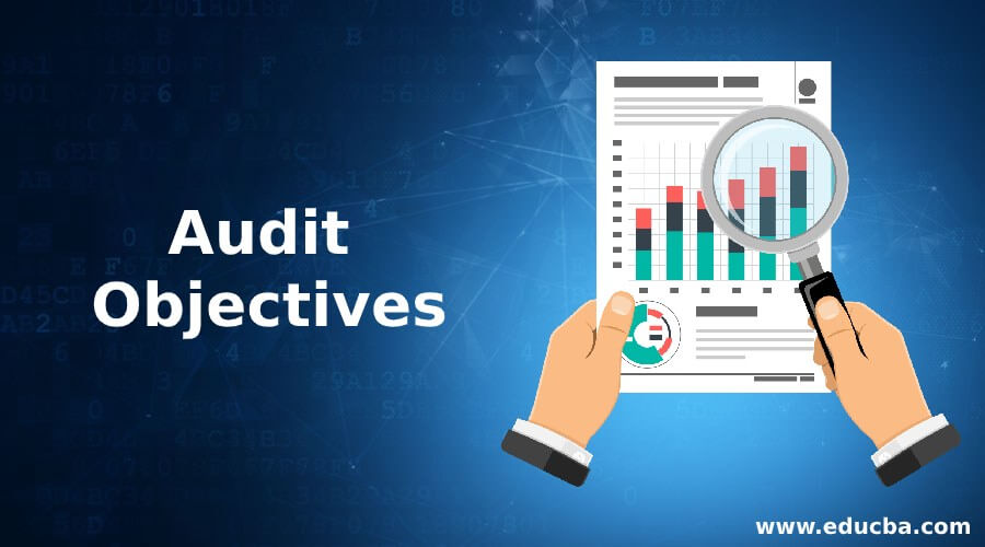 Audit Objectives