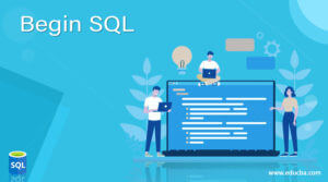 Begin SQL | Examples and Nested BEGIN & END keyword usage
