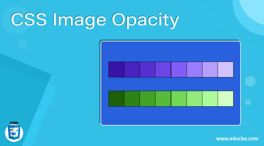 CSS Image Opacity | How does Image Opacity works in CSS?