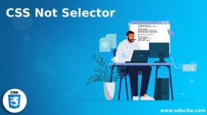 CSS Not Selector | How Not Selector Works in CSS?