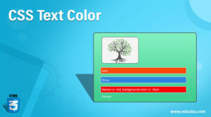 CSS Text Color | How does Text Color work in CSS with Examples