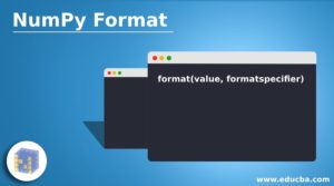 NumPy Format | Working and Eamples of Format Function in NumPy