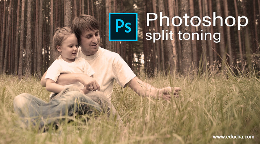 How to Split an Image in Adobe Photoshop