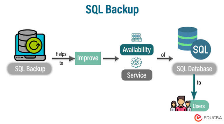 SQL Backup | 3 Different Types of Backups in SQL with Examples