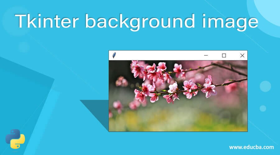 Tkinter background image | How to set a background image in Tkinter?