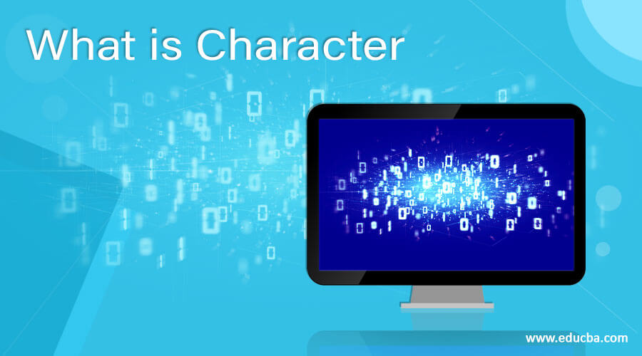 What is Character