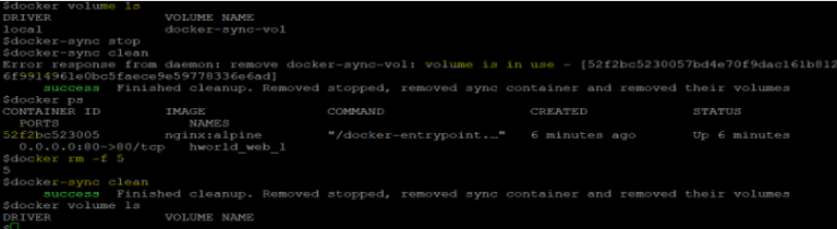 Docker Sync | How Sync Command Works in Docker? | Examples