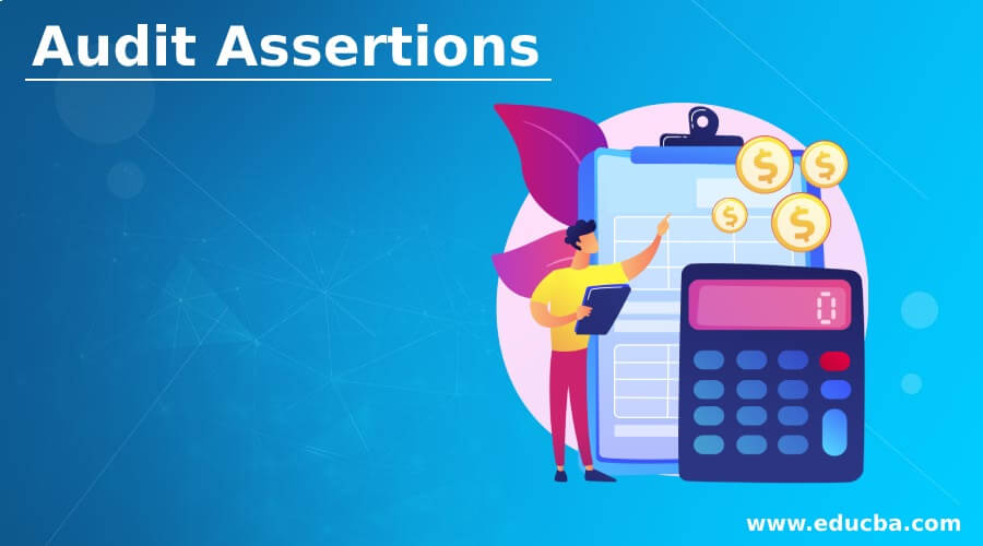 Audit Assertions