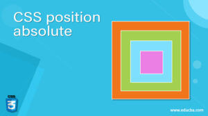 CSS position absolute | How does position absolute work in CSS?
