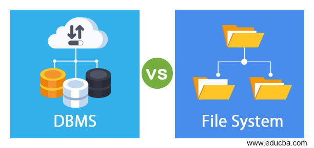 DBMS vs File System | Top Most Useful differences You Need to Know