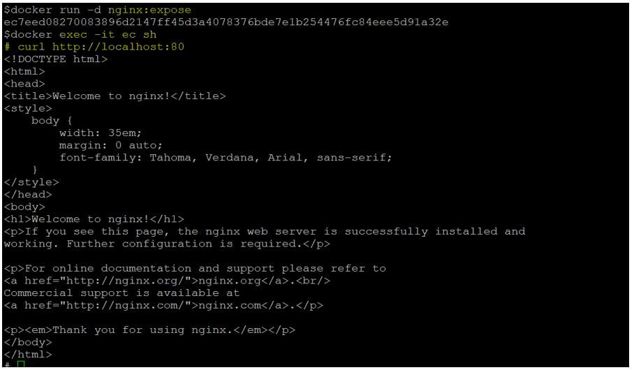 container using the ‘nginx:expose’ image