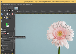 GIMP magic wand tool output 9.1