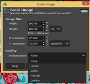 GIMP resize image output 23.1