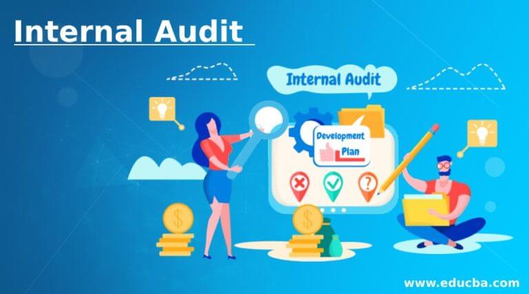 Internal Audit | Types And Objectives Of Internal Audit