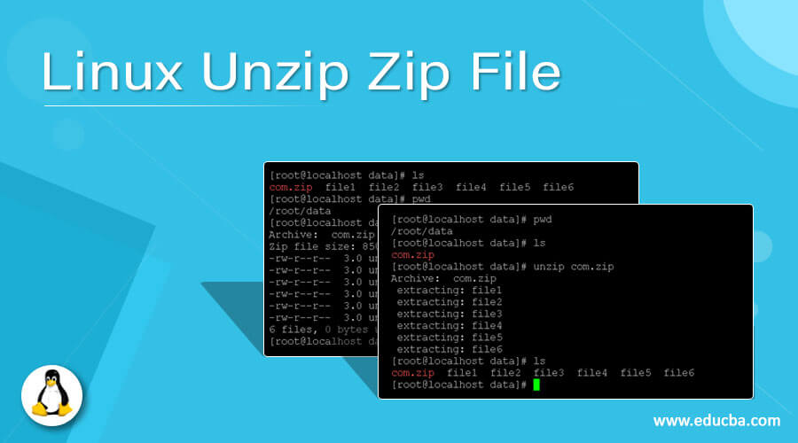 Linux Unzip Zip File