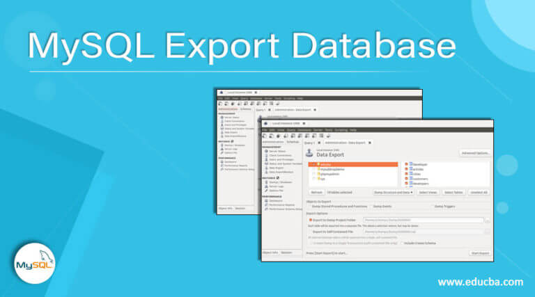 docker mysql export database