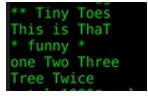 Tiny toes