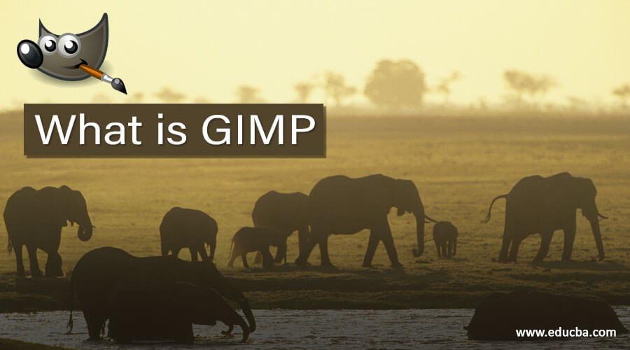 What is GIMP