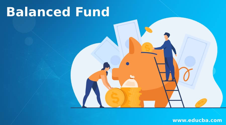 Balanced Fund Who Should Invest in a Balanced Fund