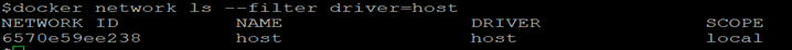 Docker network host output 2