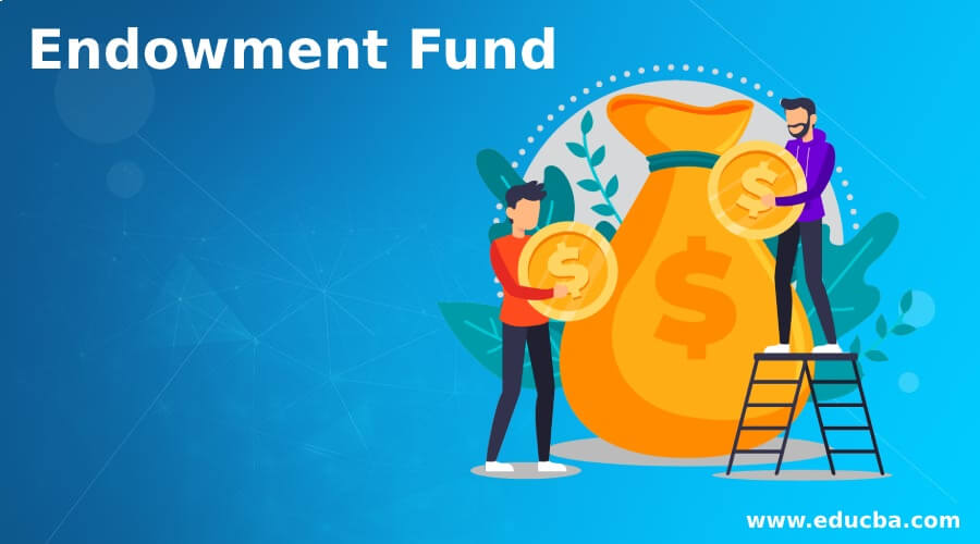 endowment-fund-how-does-endowment-fund-work-with-types