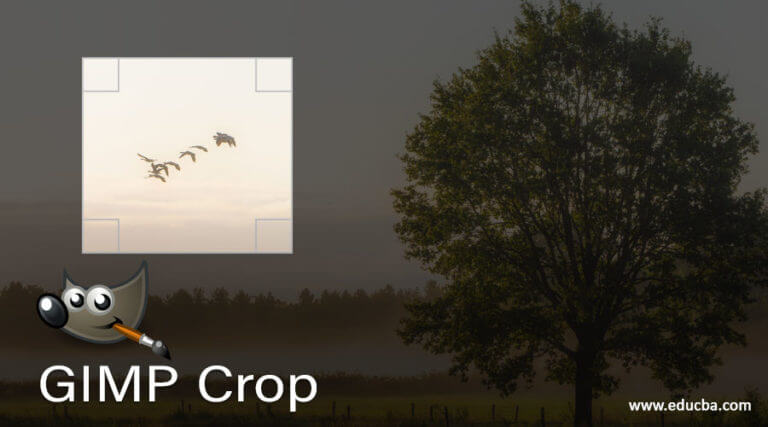 crop in gimp remove background