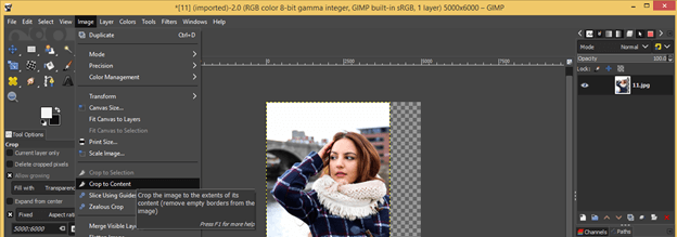 how to crop in gimp