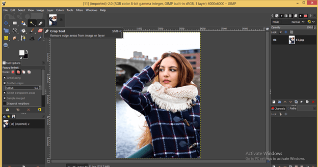 GIMP crop output 3