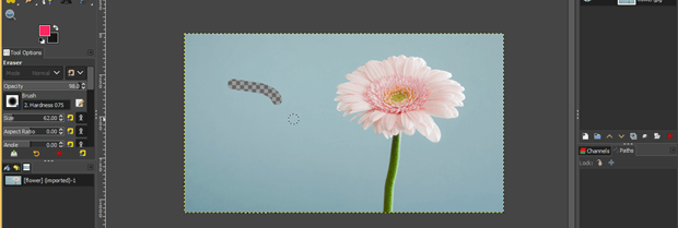 GIMP erase to transparent | How to ‘Erase to transparent’ process in GIMP