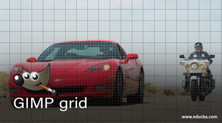 GIMP grid