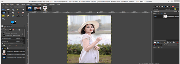GIMP import image output 12