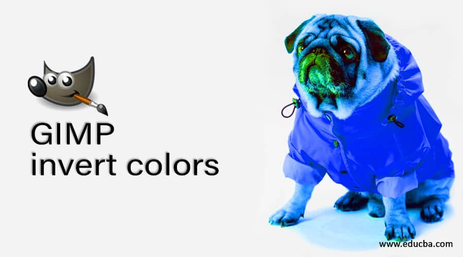 How to Invert Image Colors - GIMP tutorial