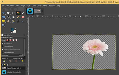 GIMP remove background | Learn How to Remove Background in GIMP?