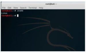 Kali Linux Terminal | Working & uses of commands in Kali Linux Terminal