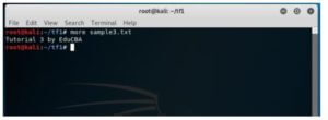 download kali linux terminal for windows 10 download kali linux terminal for windows 10