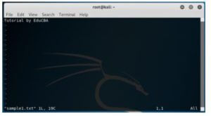 download kali linux terminal for windows 10