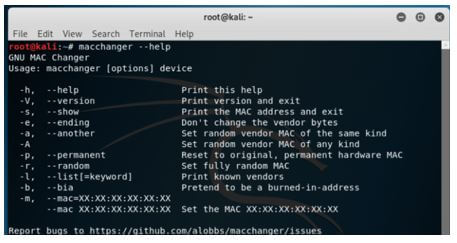 Kali Linux Terminal 5
