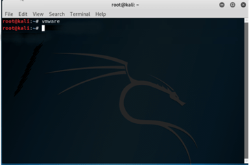 Kali Linux VMware output 3
