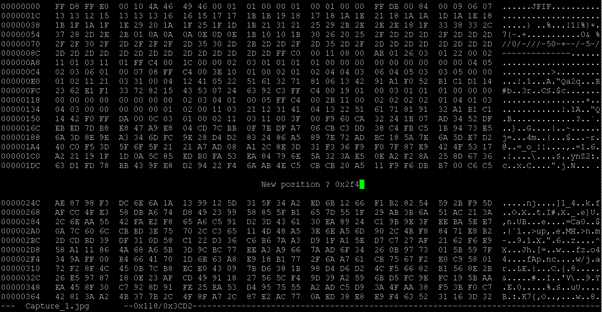 Linux hex editor output 2
