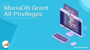 mariadb grant privileges to user