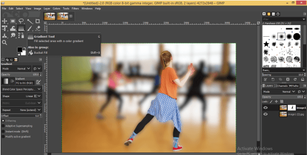 Blur Effect in GIMP | Illustrations to create Blur Effect in GIMP
