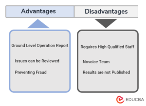 Internal Audit | Types, Process And Objectives Of Internal Audit