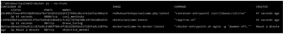 Docker List Containers 5