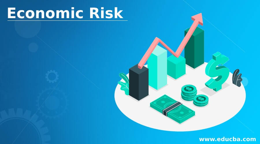 Economic Risk