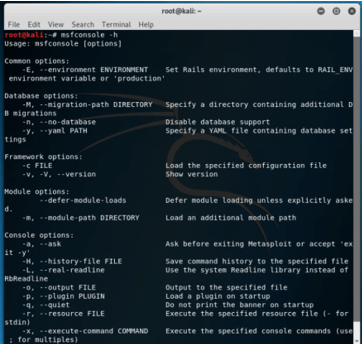 Kali Linux Metasploit 1
